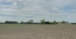 2.44 Hectares (6.03 Acres) at Mole Drove, Gedney Hill, Spalding, Lincolnshire