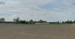 2.44 Hectares (6.03 Acres) at Mole Drove, Gedney Hill, Spalding, Lincolnshire